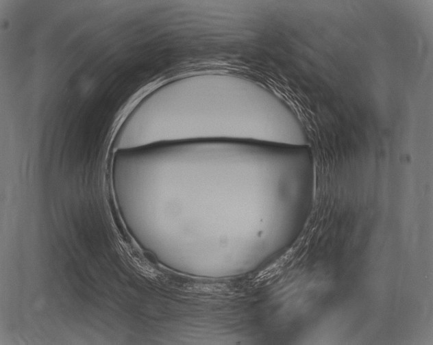 X0000083590147200702090850