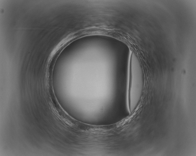 X0000083590150200702090850