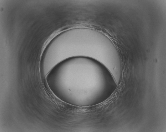 X0000083590152200702090850
