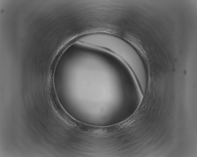 X0000083590156200702090850