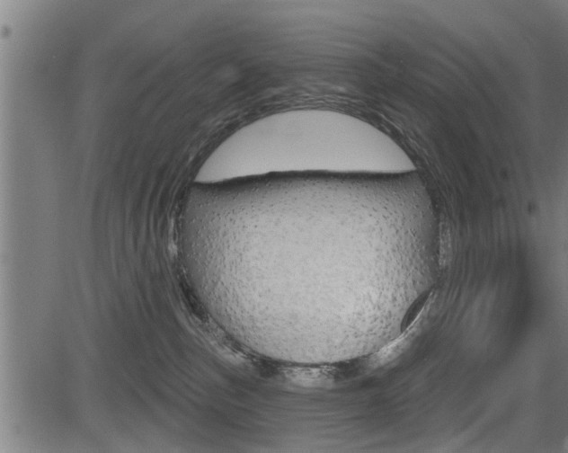 X0000083590187200702090851