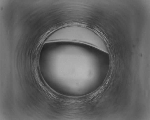 X0000083590193200702090850