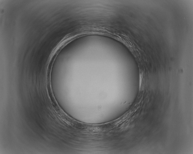 X0000083590195200702090850