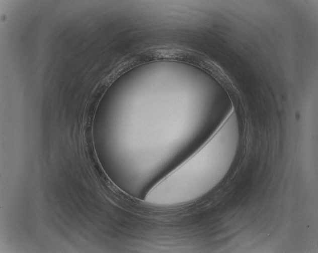 X0000083590217200702090849