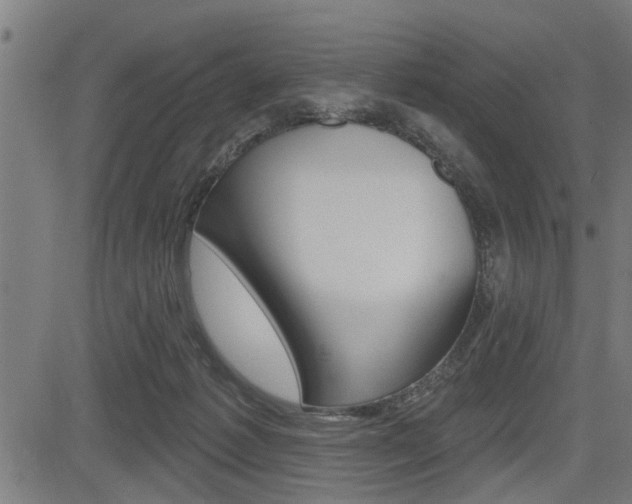 X0000083590221200702090849