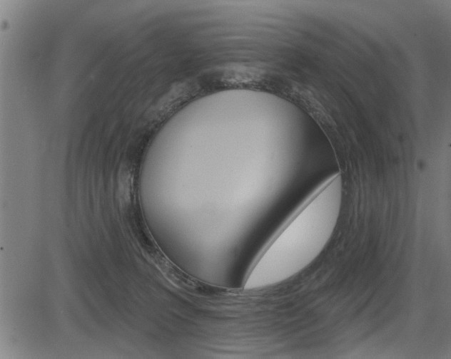 X0000083590227200702090849