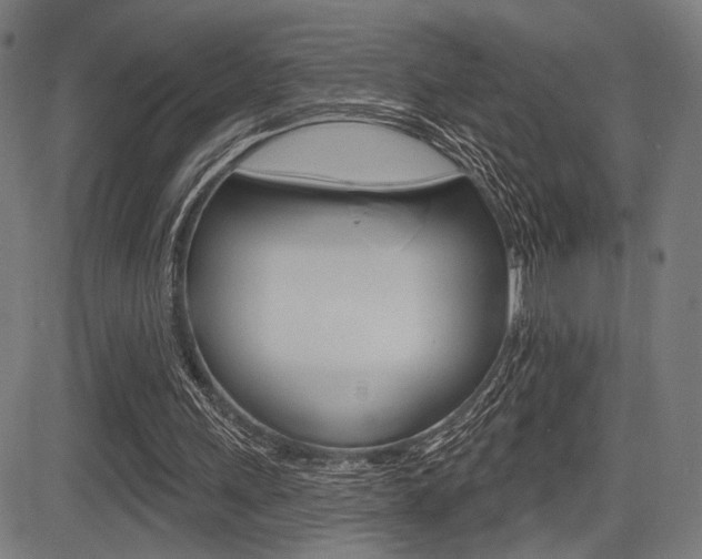 X0000083590243200702090848