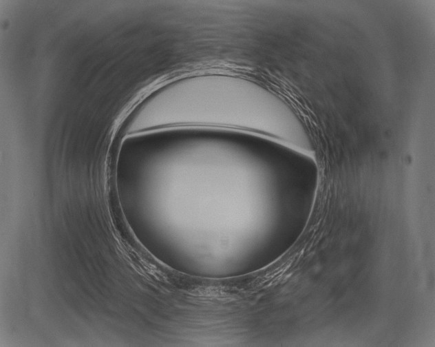 X0000083590244200702090848