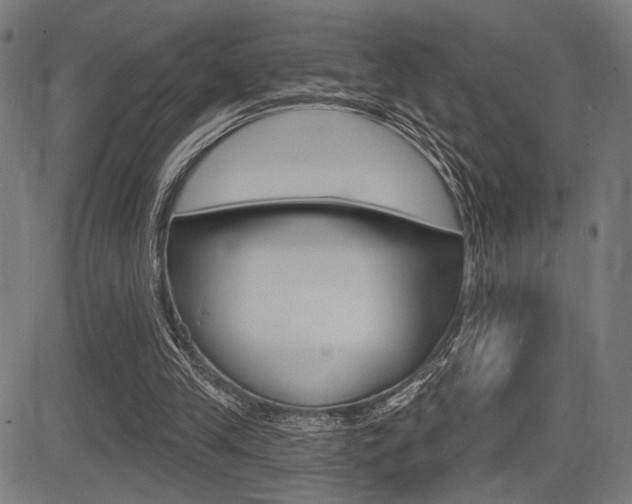 X0000083590245200702090848