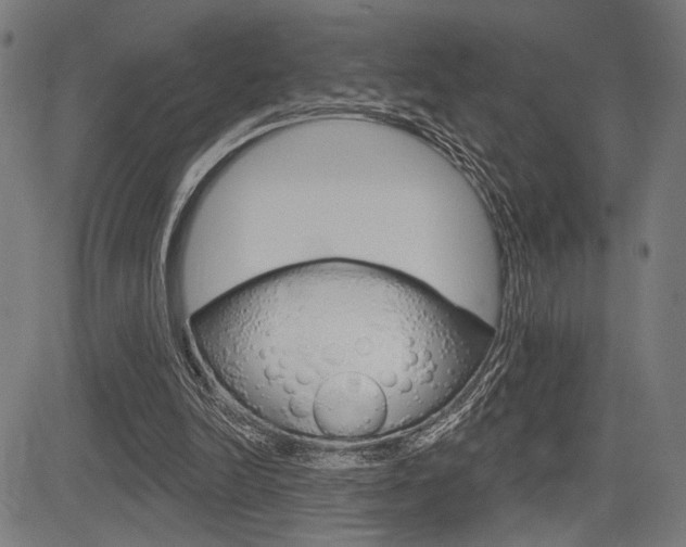 X0000083590246200702090848