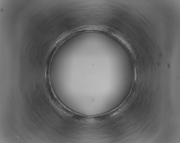 X0000083590253200702090848