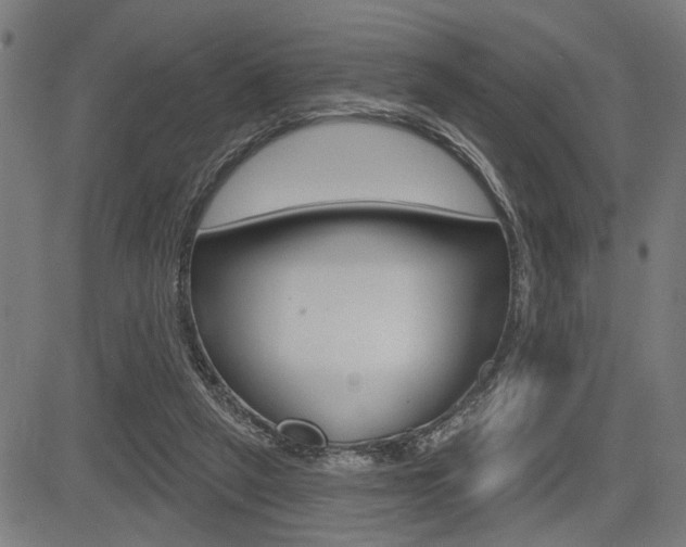 X0000083590257200702090849