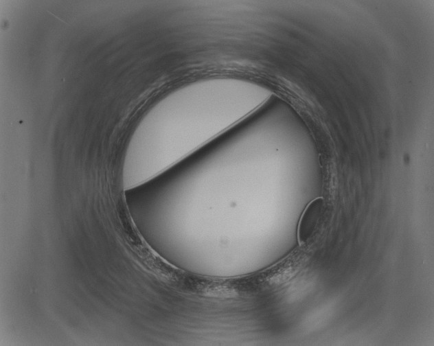 X0000083590258200702090849