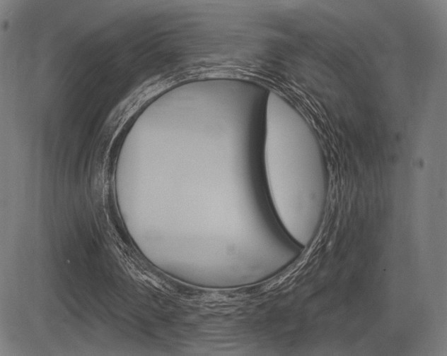 X0000083590290200702090848