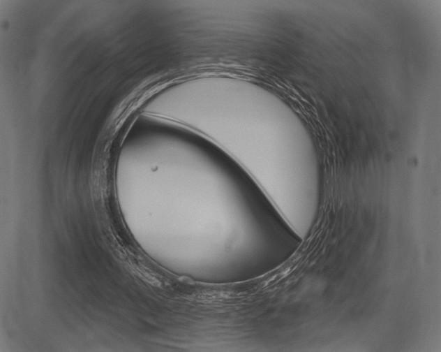 X0000083590291200702090848