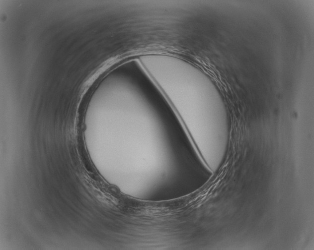 X0000083590292200702090848