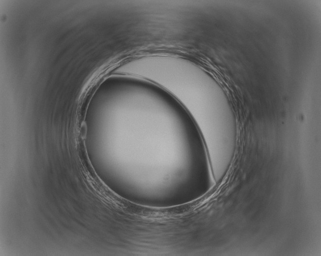 X0000083590293200702090848