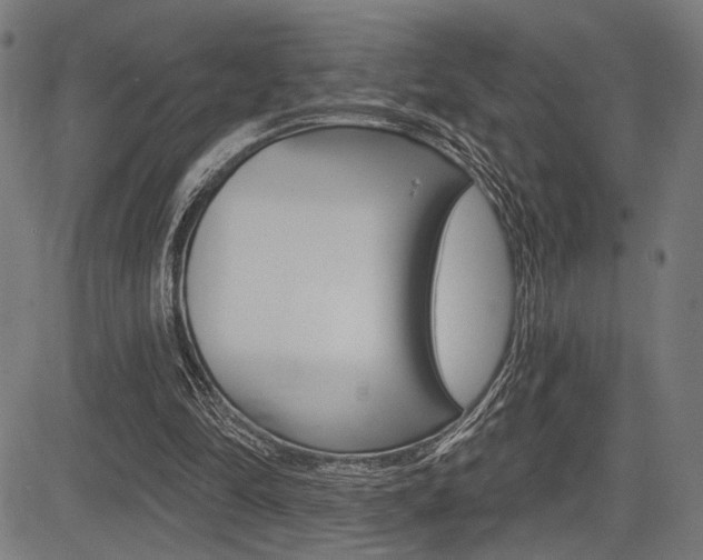 X0000083590294200702090848