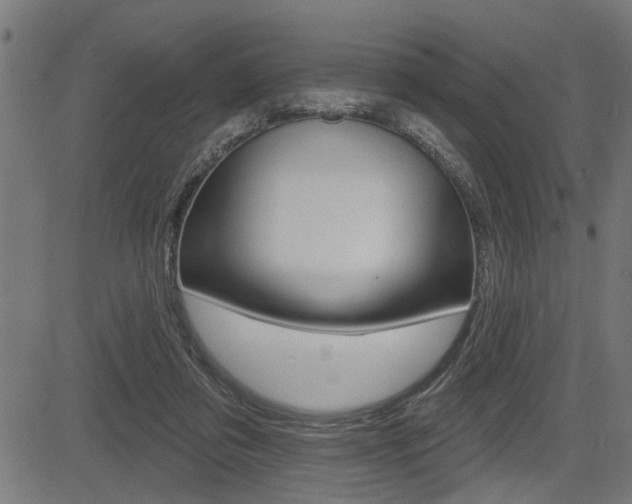 X0000083590309200702090848