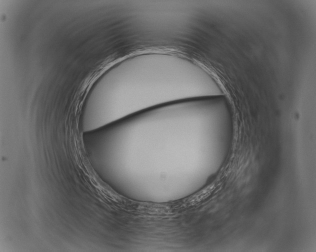 X0000083590337200702090847