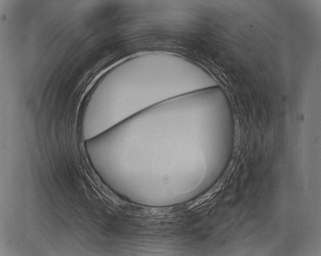X0000083590338200702090847