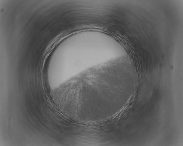 X0000083590339200702090847