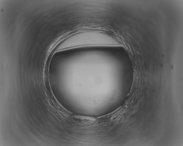 X0000083590340200702090847