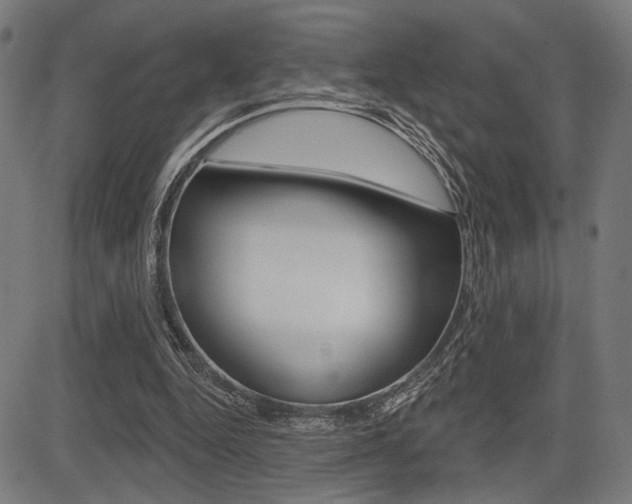 X0000083590344200702090847