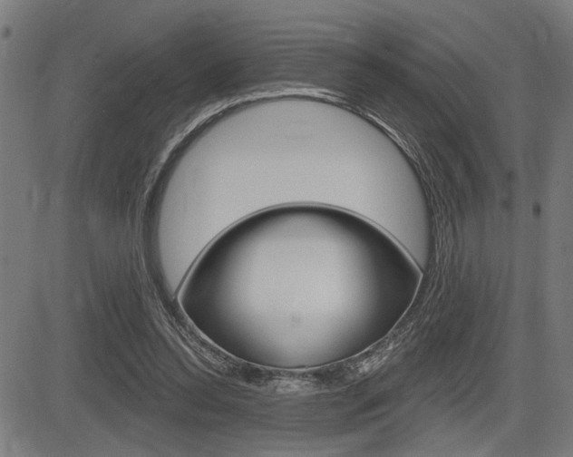 X0000083590350200702090847