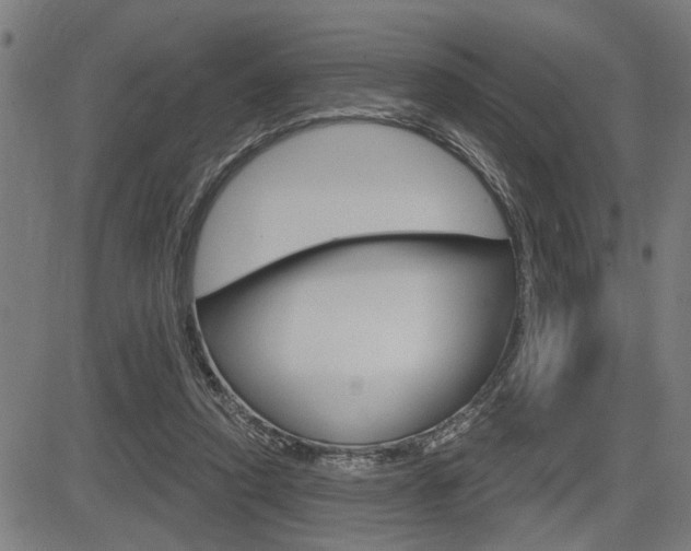X0000083590354200702090847