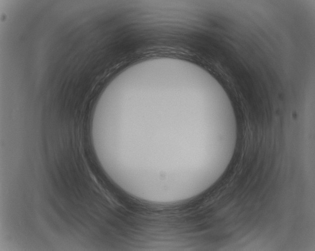 X0000083590360200702090847
