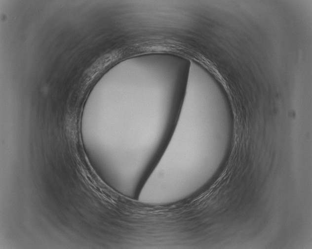 X0000083590386200702090847