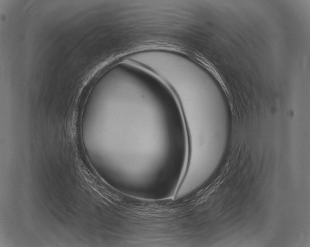 X0000083590387200702090847