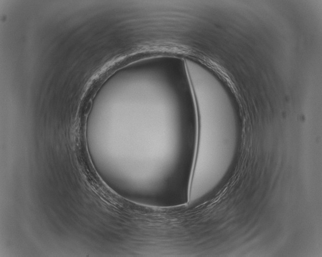 X0000083590388200702090847