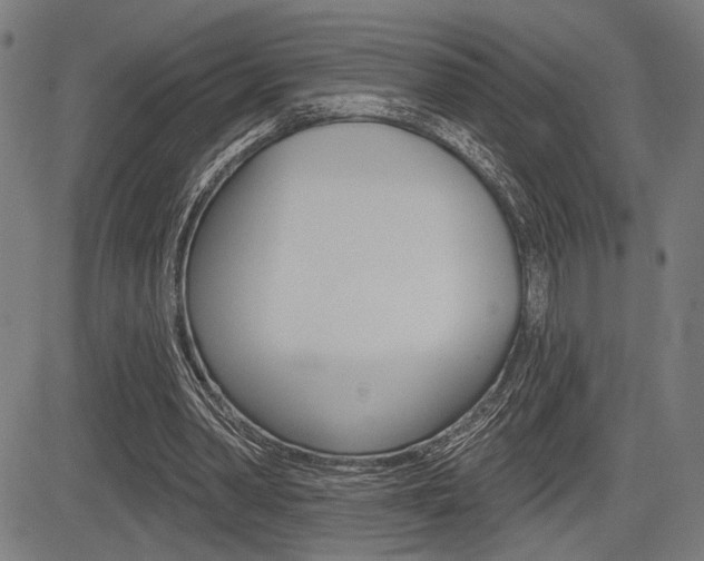 X0000083590390200702090847