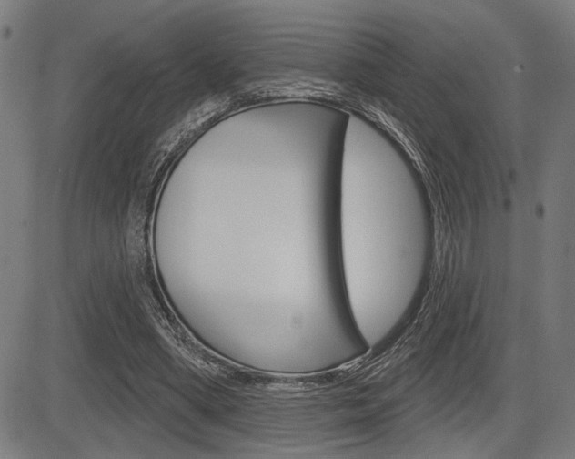 X0000083590394200702090847