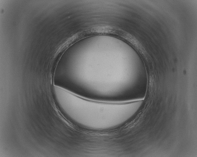 X0000083590397200702090847