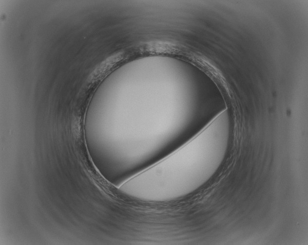 X0000083590401200702090846