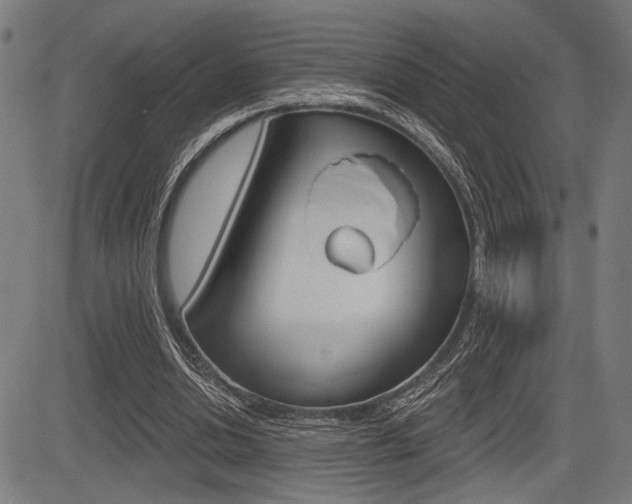 X0000083590438200702090845