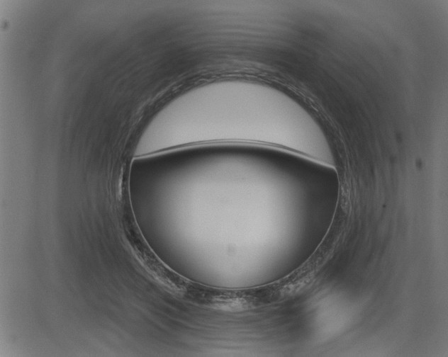 X0000083590454200702090846