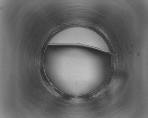 X0000083590455200702090846