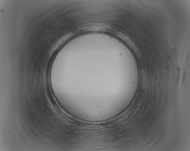 X0000083590482200702090845