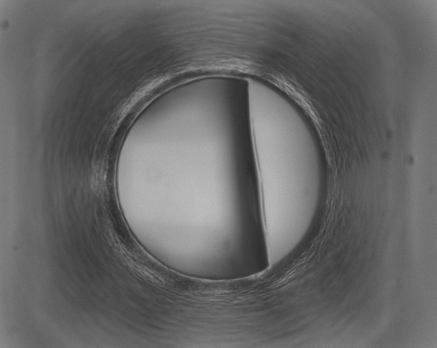 X0000083590483200702090845