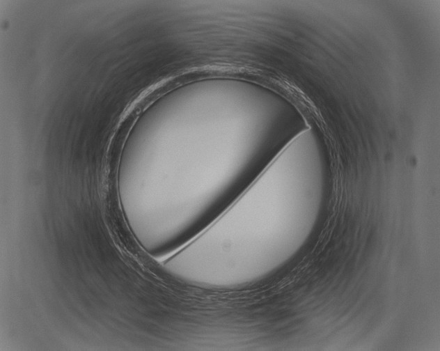 X0000083590484200702090845