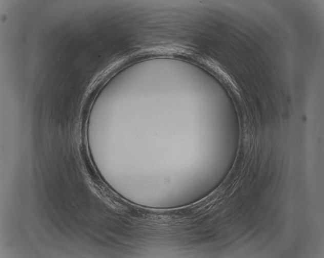 X0000083590486200702090845