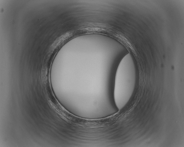 X0000083590490200702090845