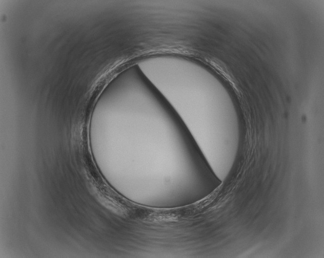 X0000083590491200702090845