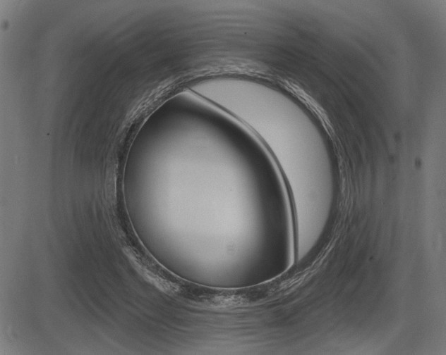 X0000083590493200702090845