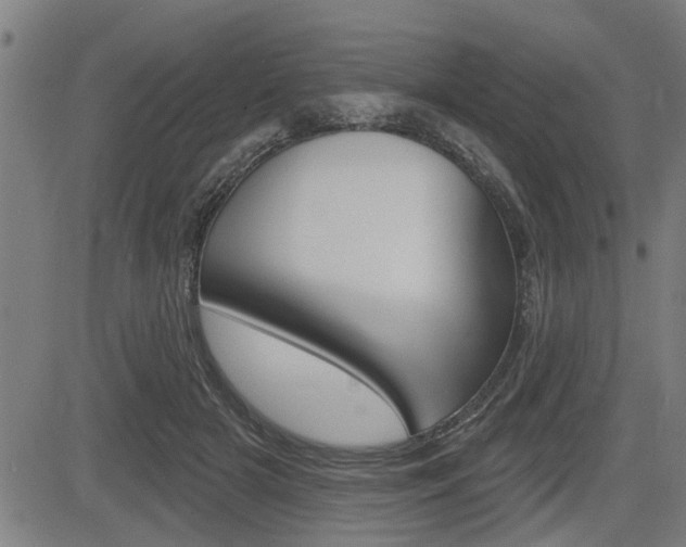 X0000083590505200702090845