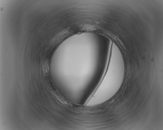 X0000083590517200702090845